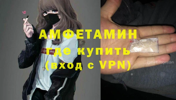 индика Алексин