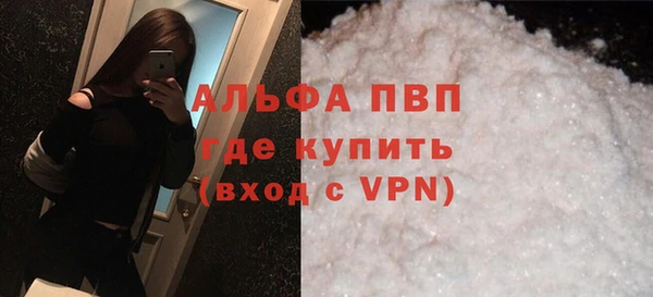 индика Алексин