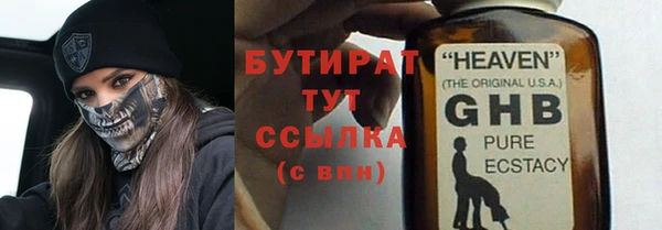 индика Алексин