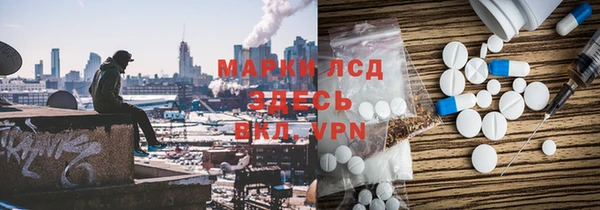 индика Алексин