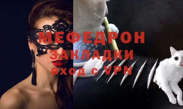 индика Алексин