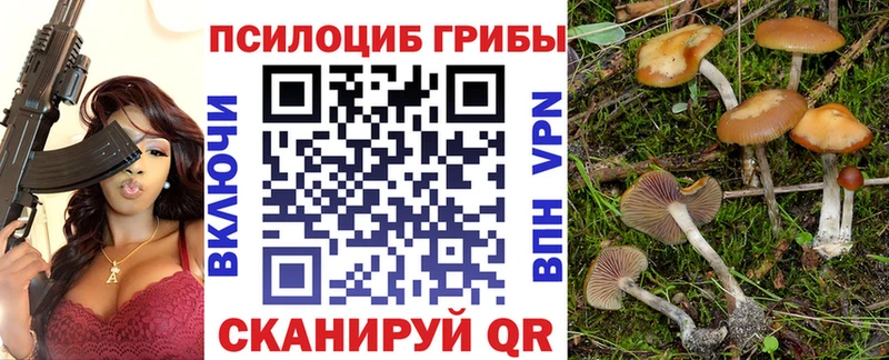 купить наркоту  блэк спрут рабочий сайт  darknet официальный сайт  Заозёрный  Галлюциногенные грибы Magic Shrooms 